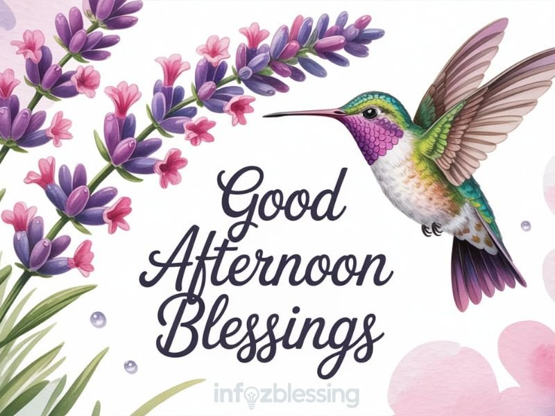 Beautiful afternoon greetings messages to share with family and friends.